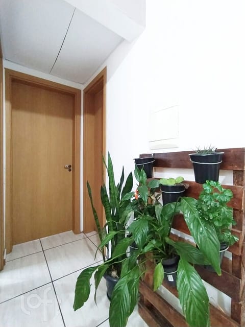 Image 3 - 273225